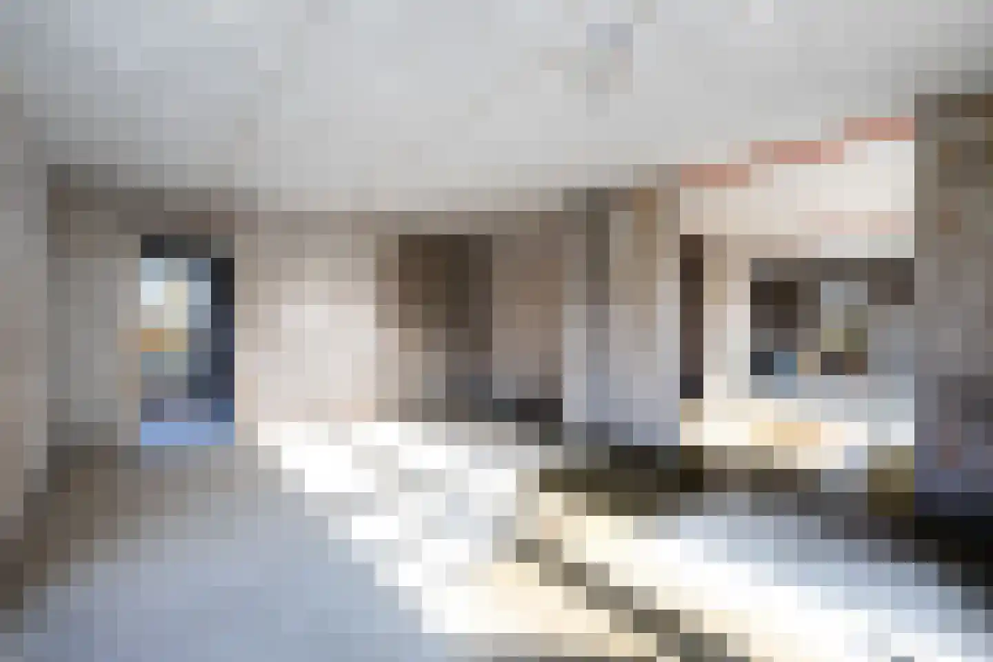 Voortweg 33 Vierlingsbeek thumbnail 15