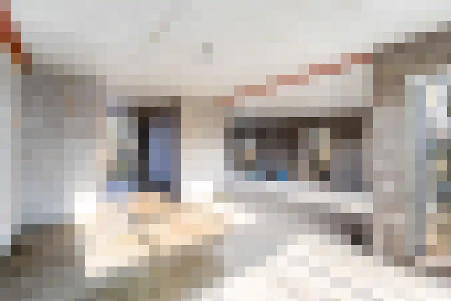Voortweg 33 Vierlingsbeek thumbnail 16