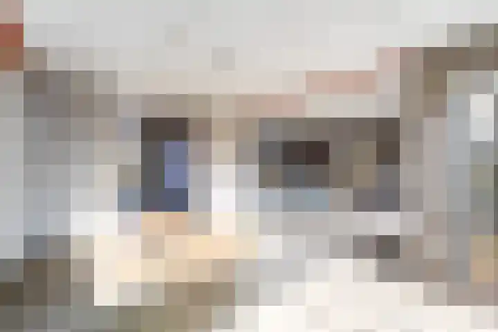 Voortweg 33 Vierlingsbeek thumbnail 16
