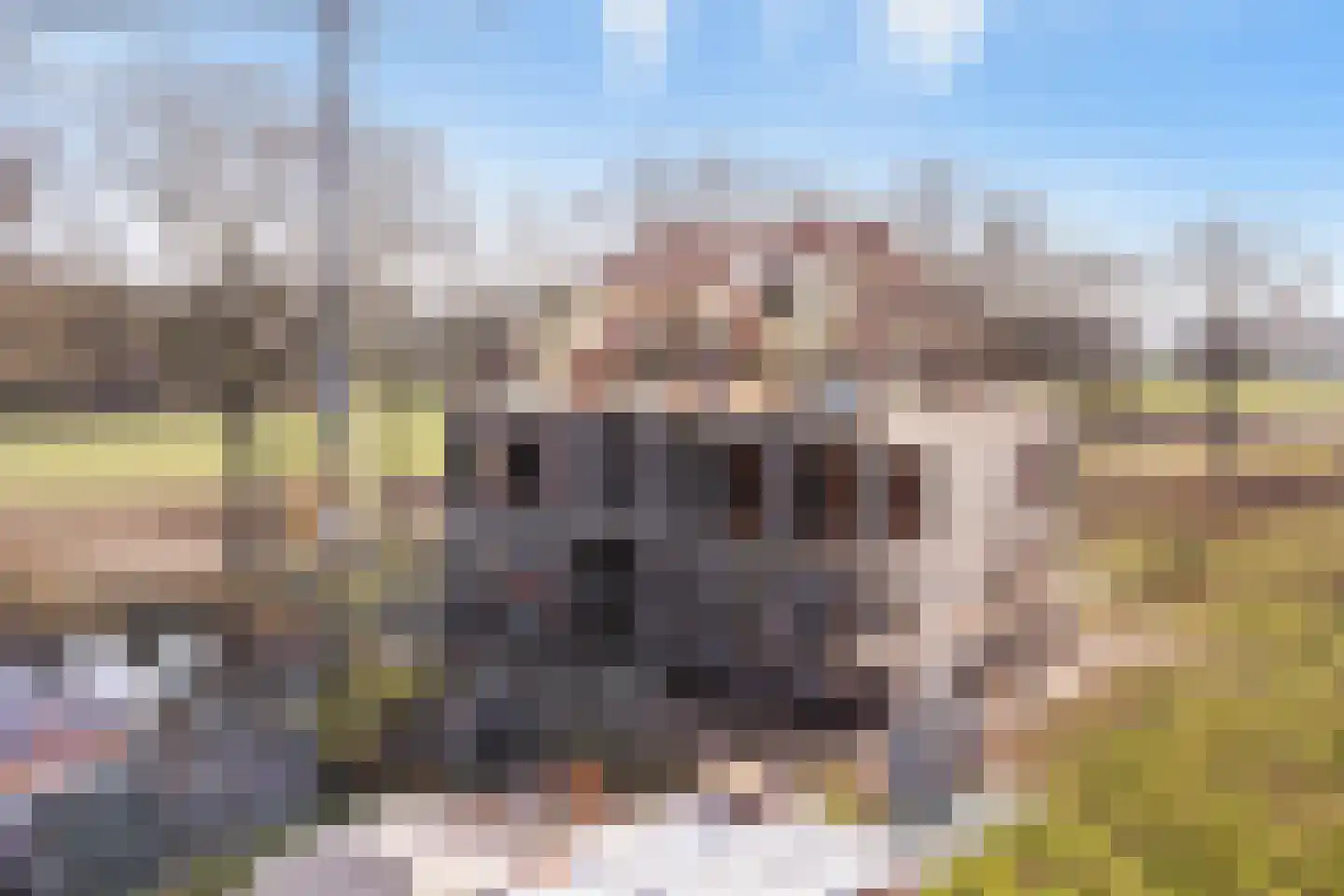 Voortweg 33 Vierlingsbeek thumbnail 5