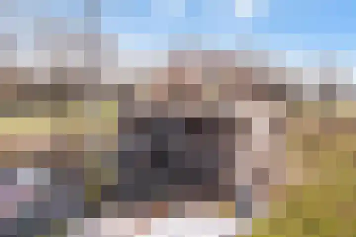 Voortweg 33 Vierlingsbeek thumbnail 5