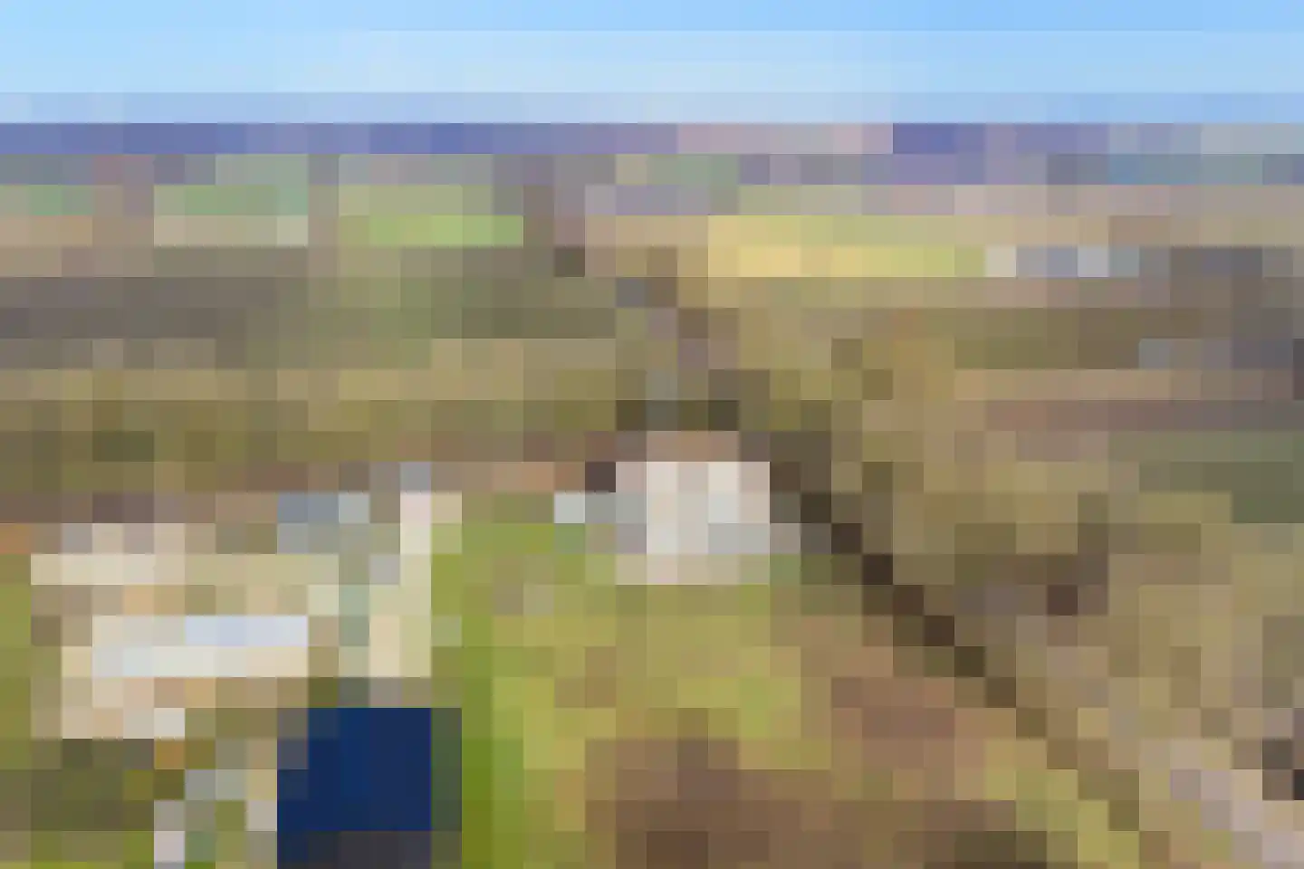Voortweg 33 Vierlingsbeek thumbnail 6