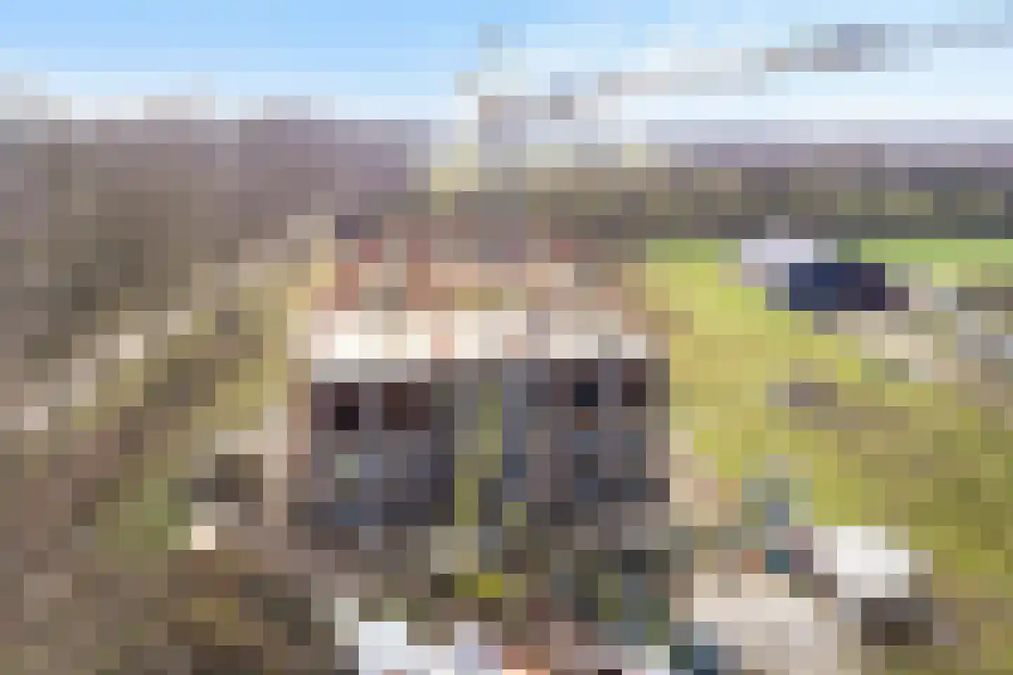 Voortweg 33 Vierlingsbeek thumbnail 7