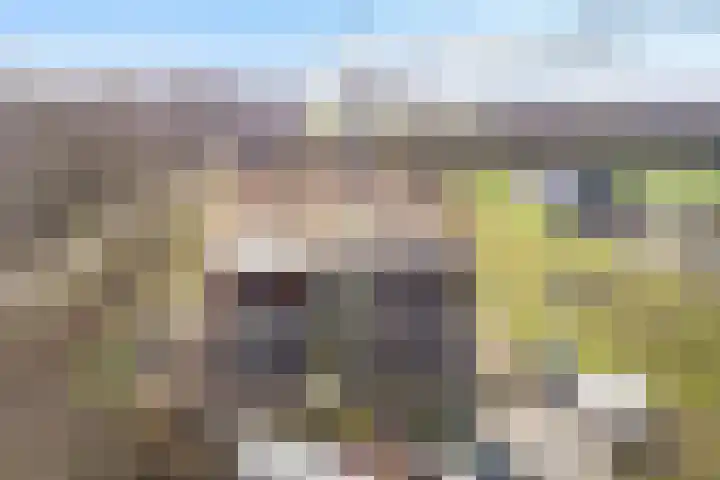 Voortweg 33 Vierlingsbeek thumbnail 7