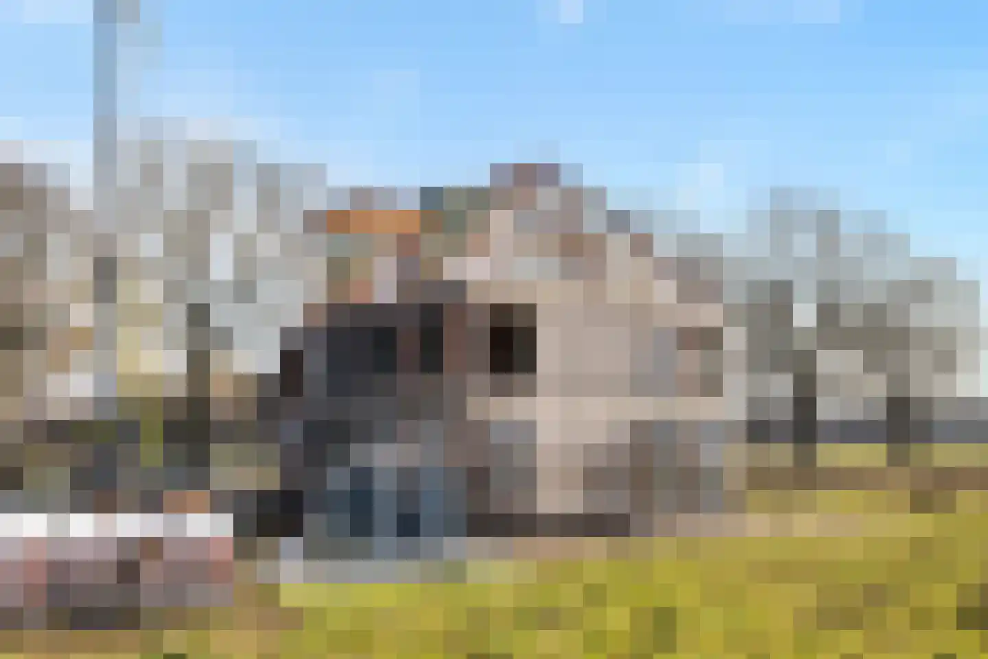 Voortweg 33 Vierlingsbeek thumbnail 9