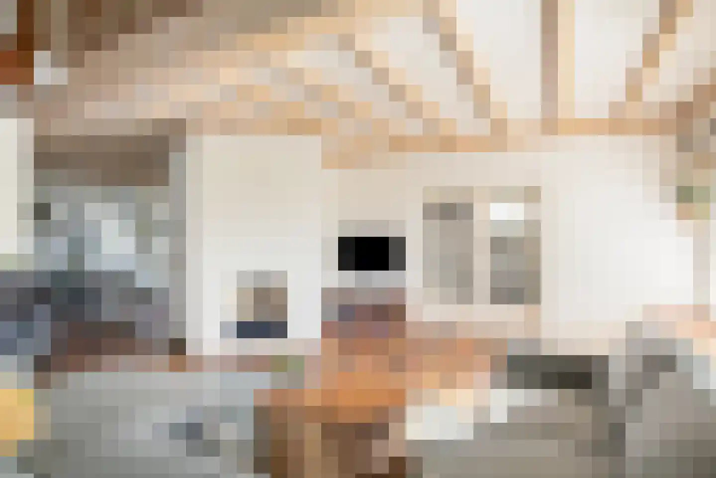 Voortweg 36 Uden thumbnail 10