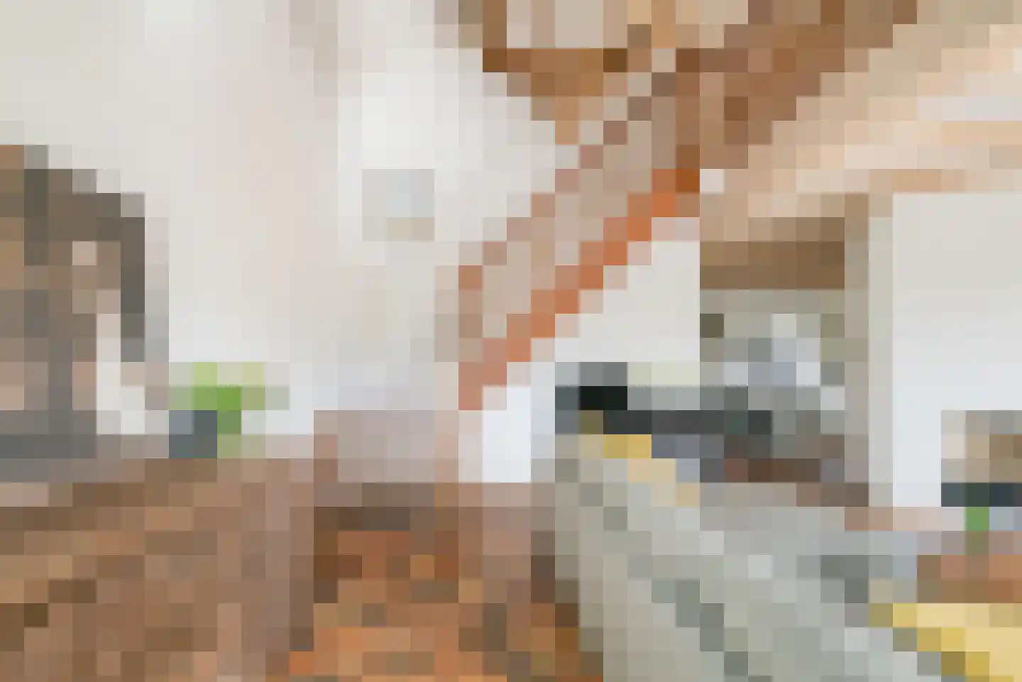 Voortweg 36 Uden thumbnail 11