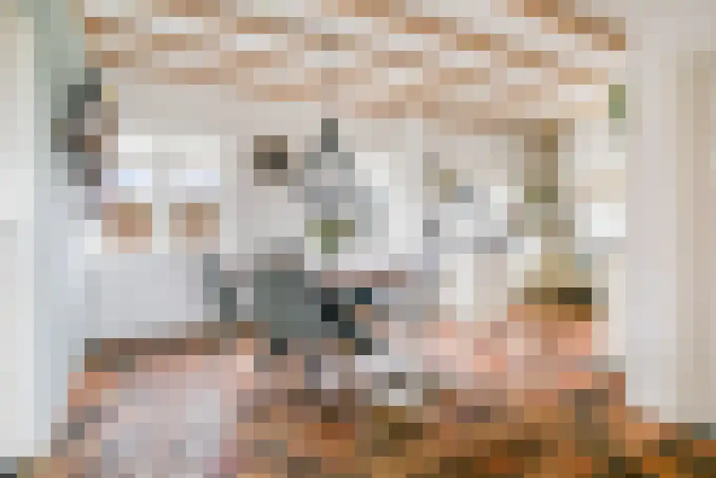 Voortweg 36 Uden thumbnail 12