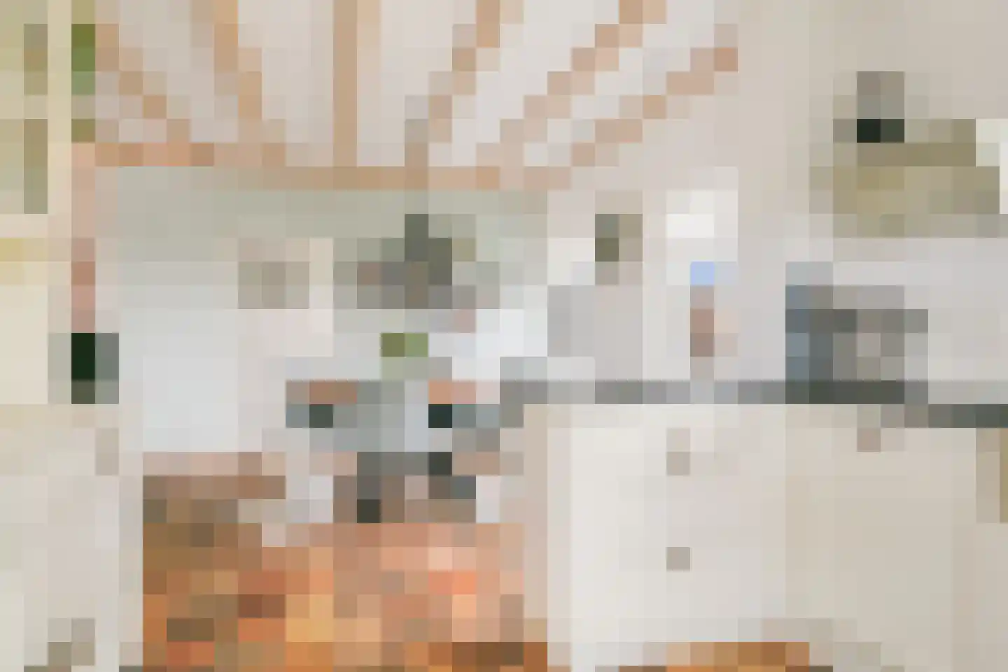 Voortweg 36 Uden thumbnail 15