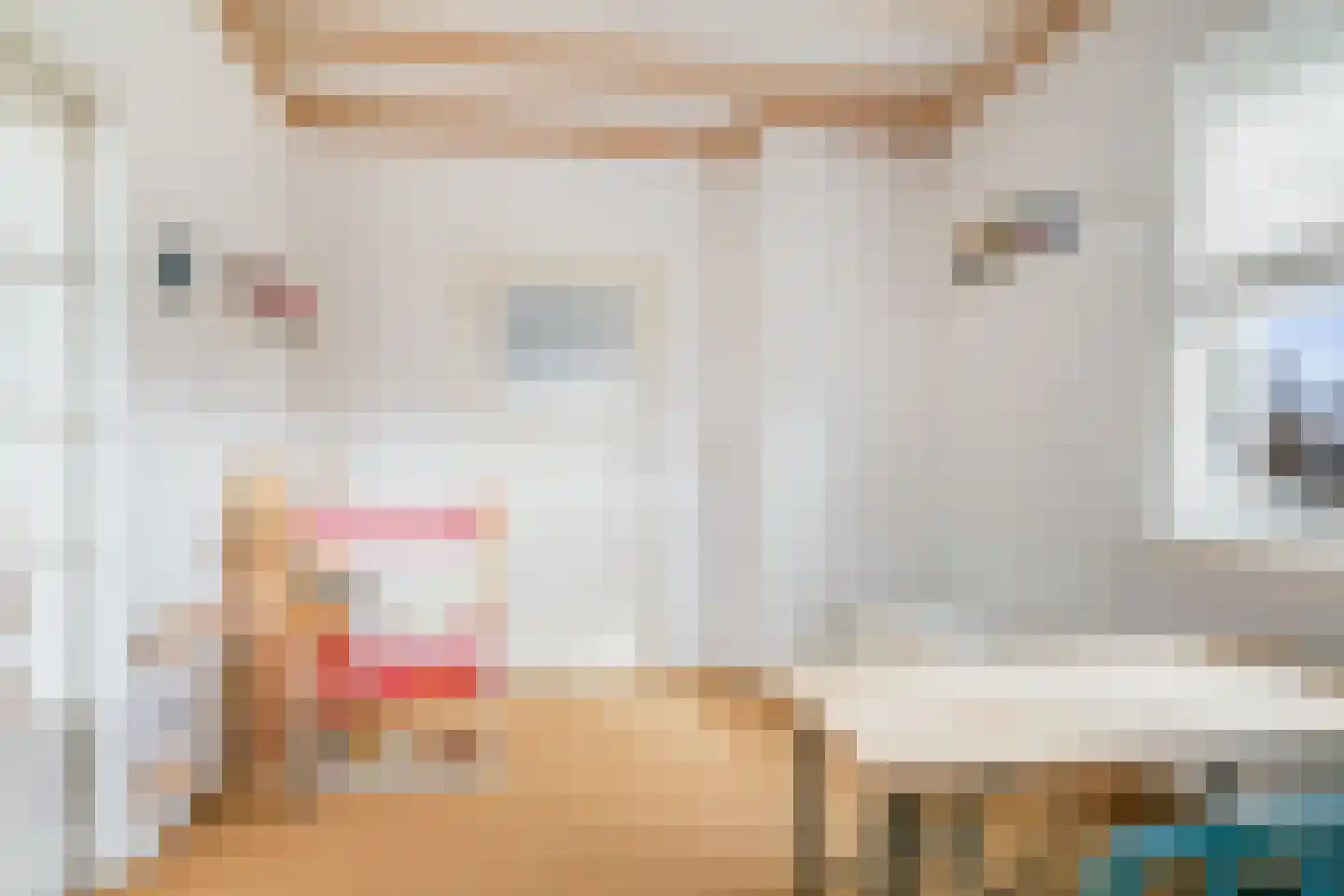 Voortweg 36 Uden thumbnail 18