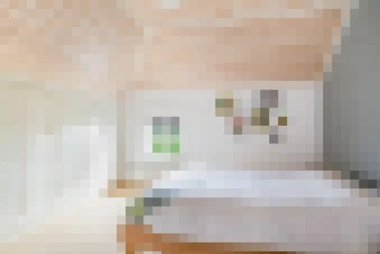 Voortweg 36 Uden thumbnail 25