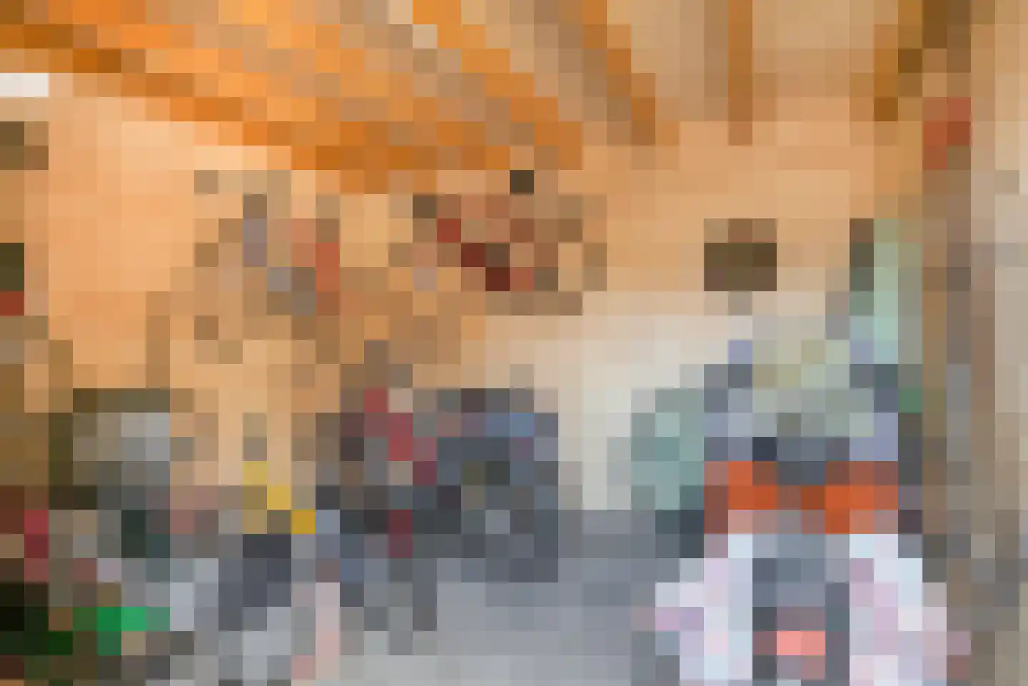 Voortweg 36 Uden thumbnail 34