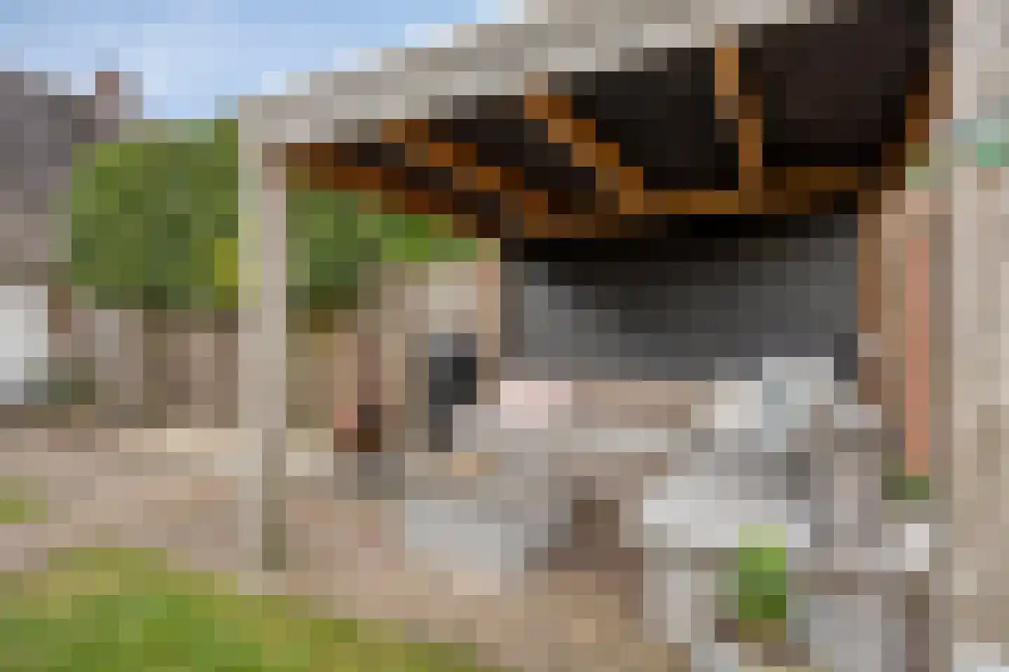 Voortweg 36 Uden thumbnail 43