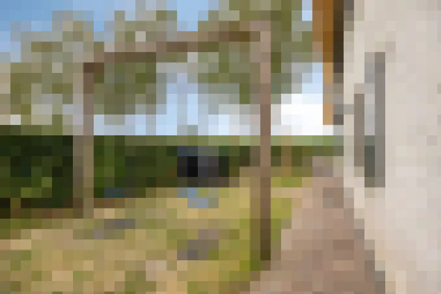 Voortweg 36 Uden thumbnail 45
