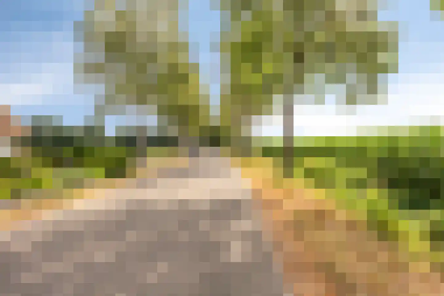 Voortweg 36 Uden thumbnail 53