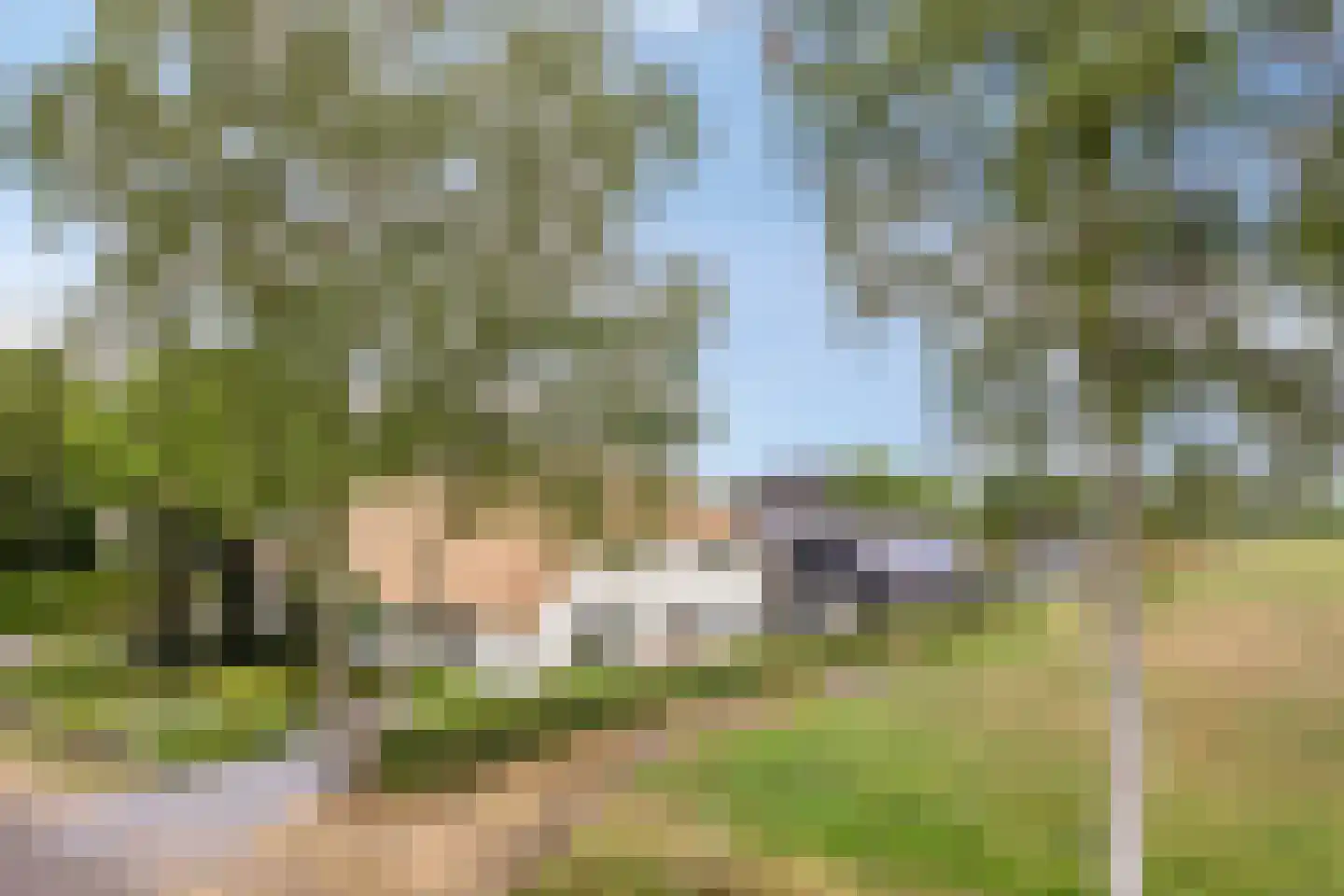 Voortweg 36 Uden thumbnail 54