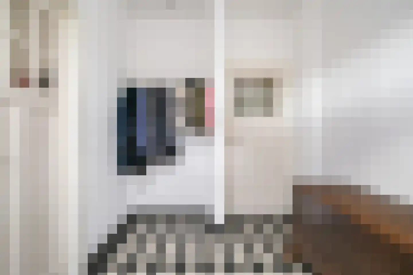 Voortweg 36 Uden thumbnail 7
