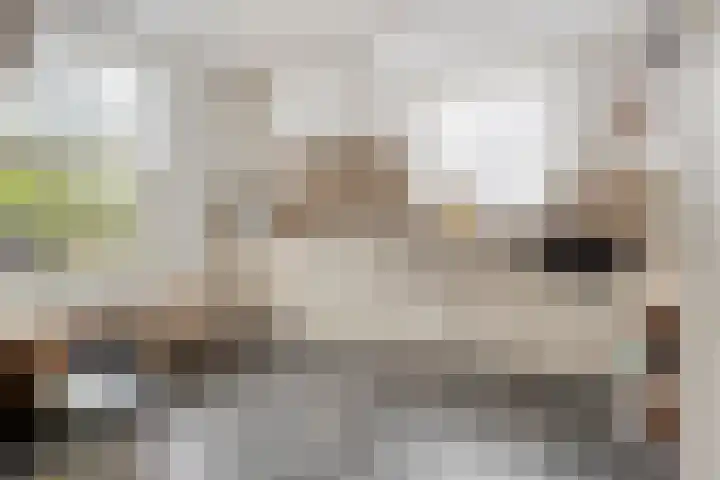 Voortweg 4 Groeningen thumbnail 10