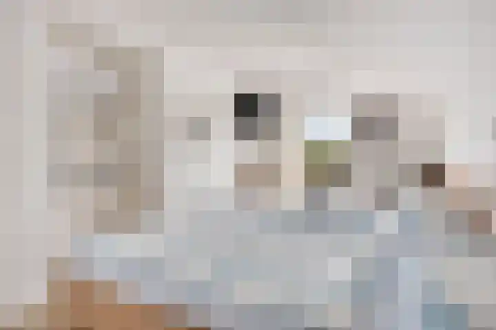 Voortweg 4 Groeningen thumbnail 13