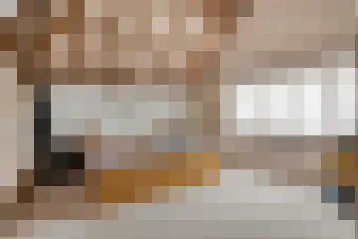 Voortweg 4 Groeningen thumbnail 19