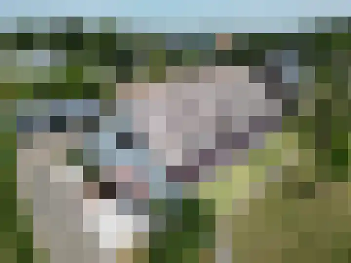 Voortweg 4 Groeningen foto 2