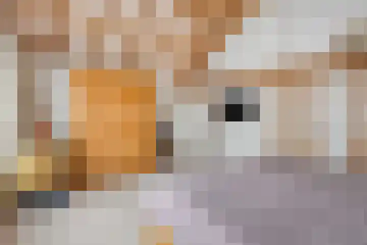 Voortweg 4 Groeningen thumbnail 20