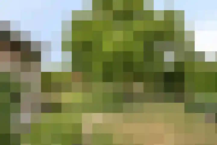 Voortweg 4 Groeningen thumbnail 27