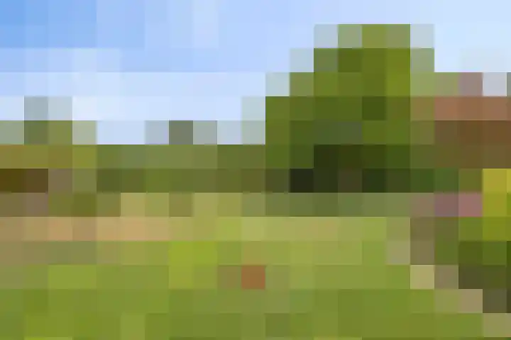 Voortweg 4 Groeningen thumbnail 28