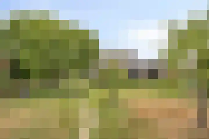 Voortweg 4 Groeningen thumbnail 29