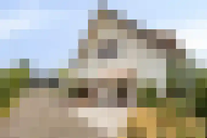 Voortweg 4 Groeningen thumbnail 33
