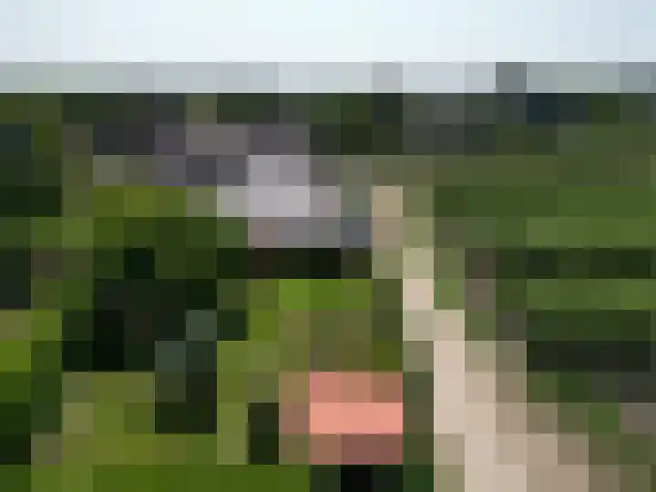 Voortweg 4 Groeningen thumbnail 34