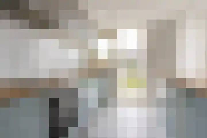 Vooruitgangstraat 101 Haarlem thumbnail 12