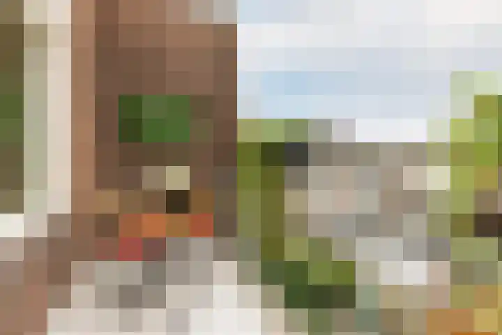 Vooruitgangstraat 101 Haarlem thumbnail 18