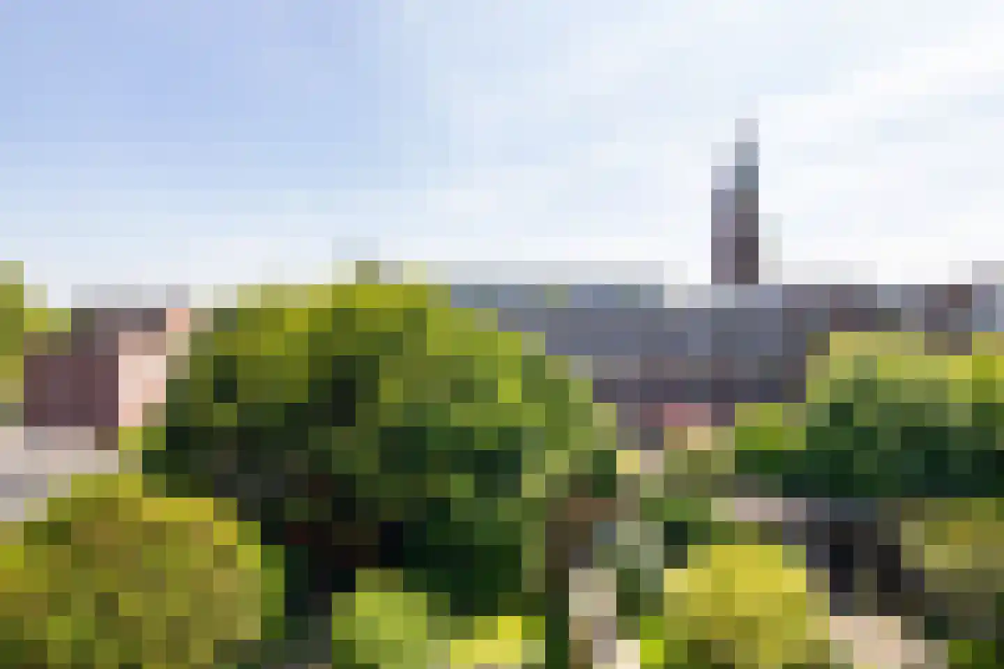 Vooruitgangstraat 11 Haarlem thumbnail 25