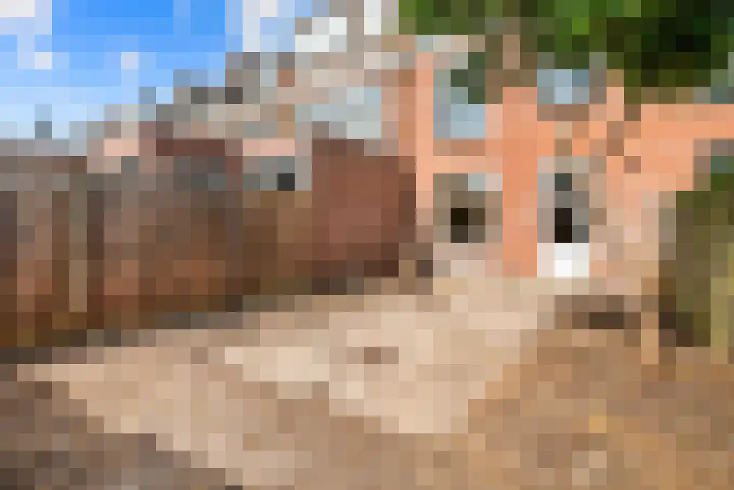 Vooruitgangstraat 131 Haarlem thumbnail 22