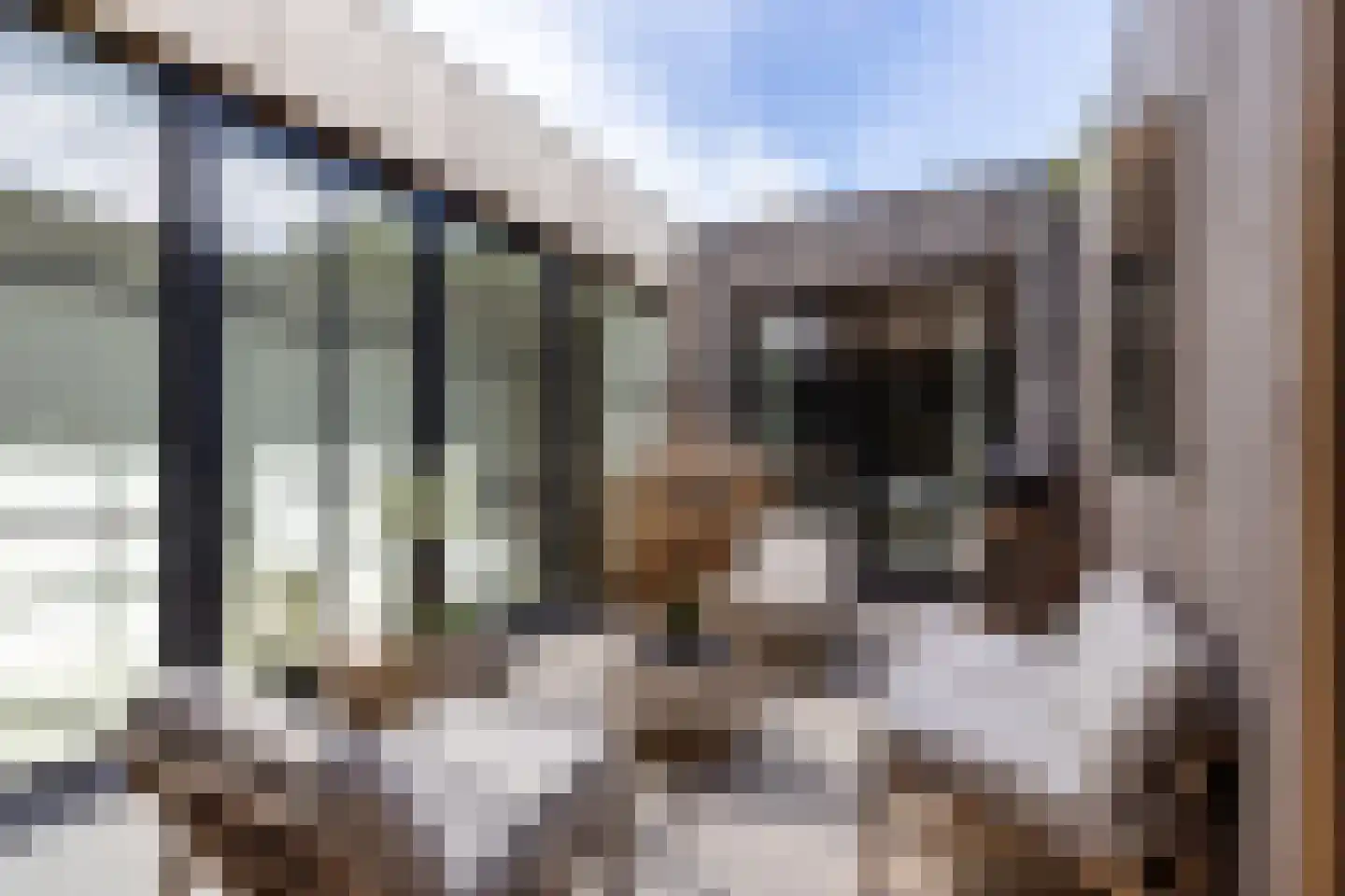 Vooruitgangstraat 139 Haarlem thumbnail 11