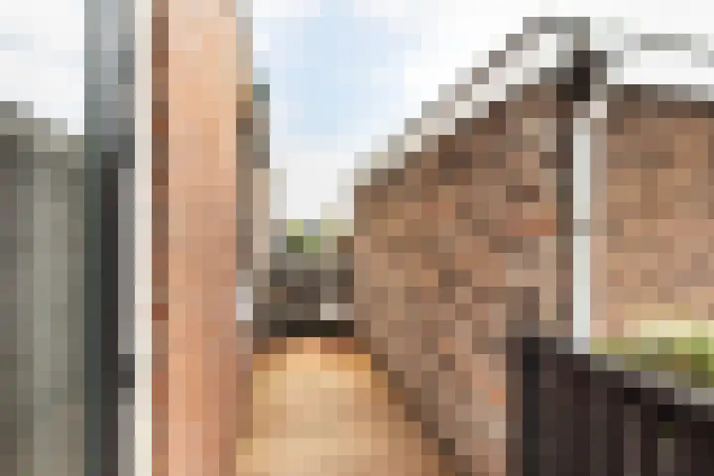 Vooruitgangstraat 173 Haarlem thumbnail 11