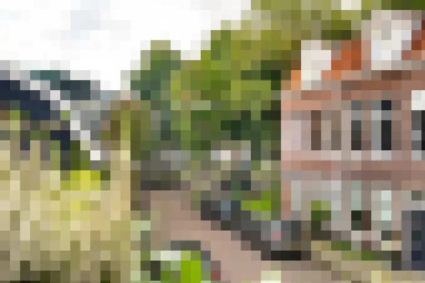 Vooruitgangstraat 173 Haarlem thumbnail 13