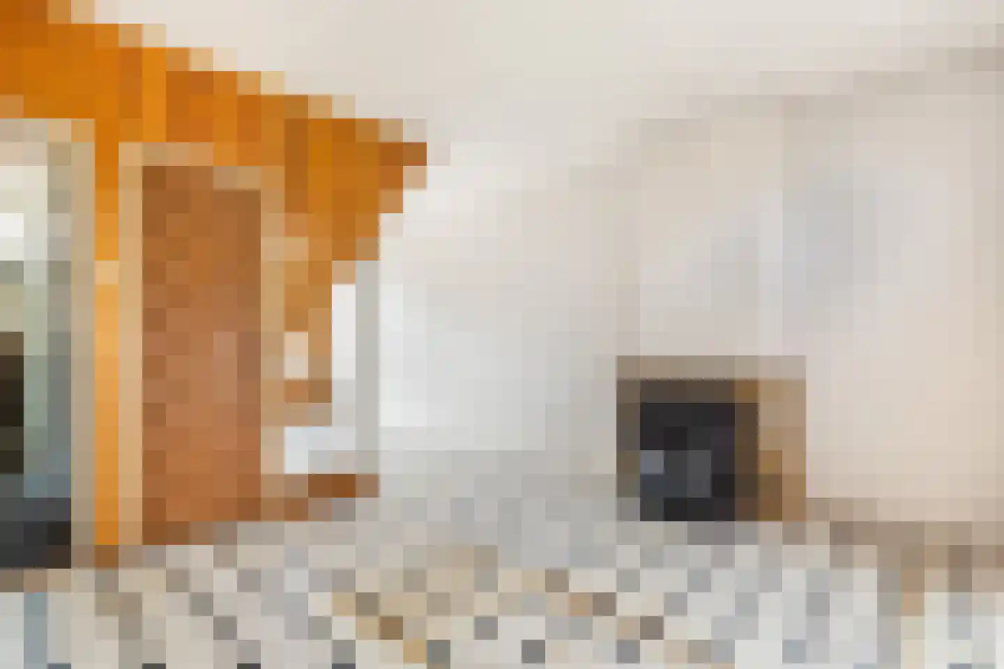 Vooruitgangstraat 79 Haarlem thumbnail 6