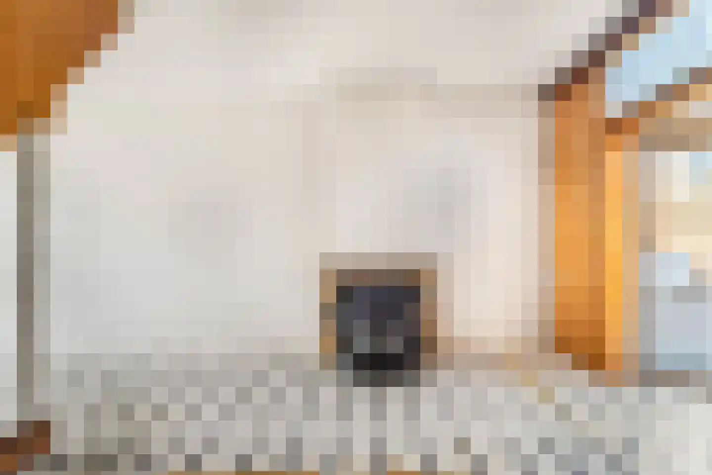 Vooruitgangstraat 79 Haarlem thumbnail 7