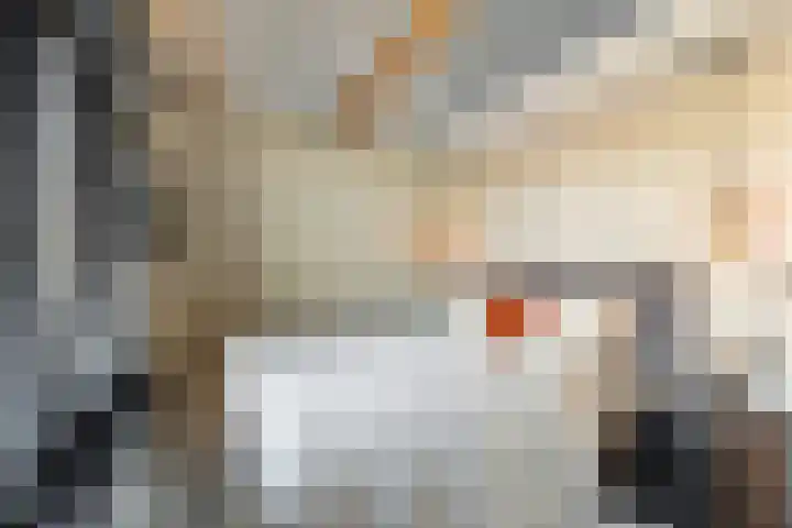 Vooruitstraat 107 Purmerend thumbnail 19