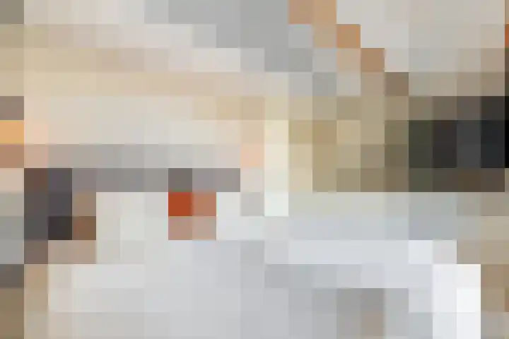Vooruitstraat 107 Purmerend thumbnail 20
