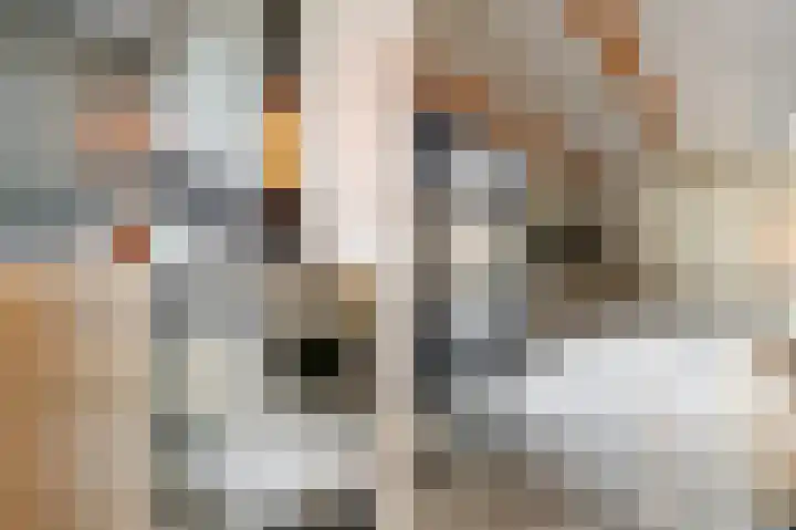 Vooruitstraat 107 Purmerend thumbnail 21