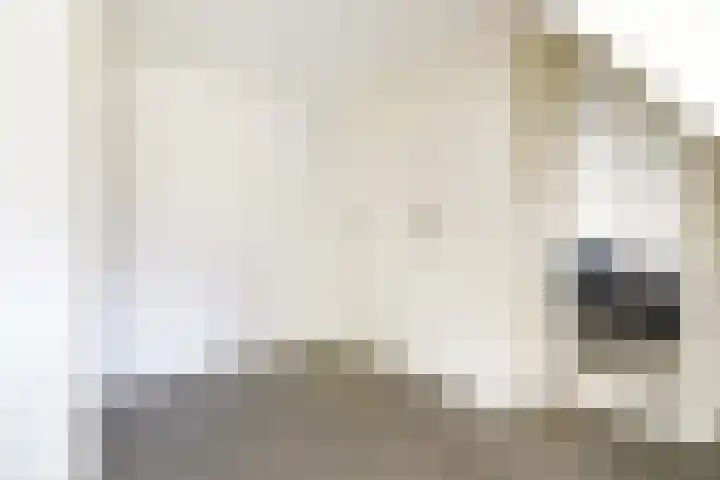 Vooruitstraat 16 Purmerend thumbnail 13