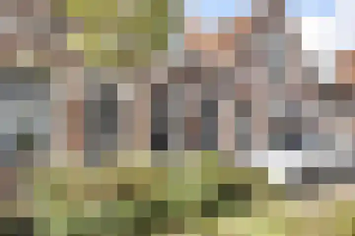 Vooruitstraat 16 Purmerend thumbnail 19