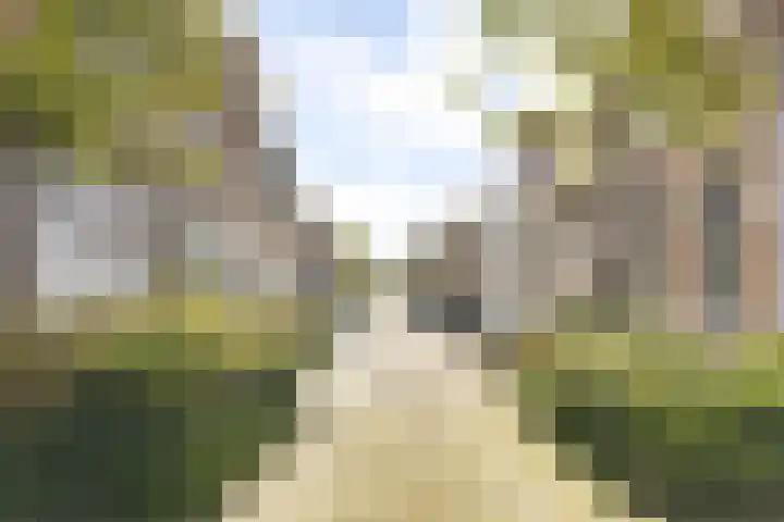 Vooruitstraat 16 Purmerend thumbnail 20