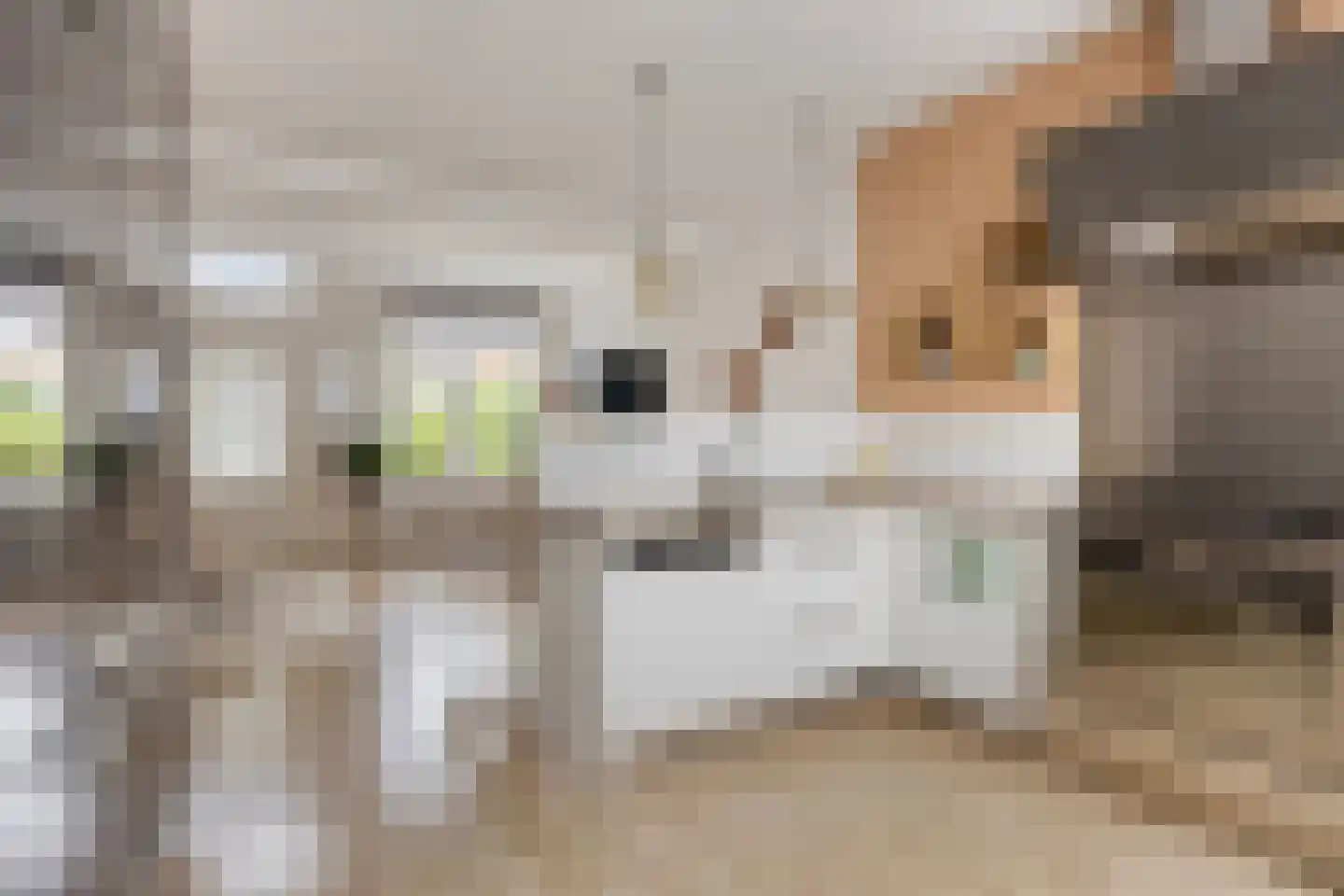 Vooruitstraat 22 Purmerend thumbnail 12