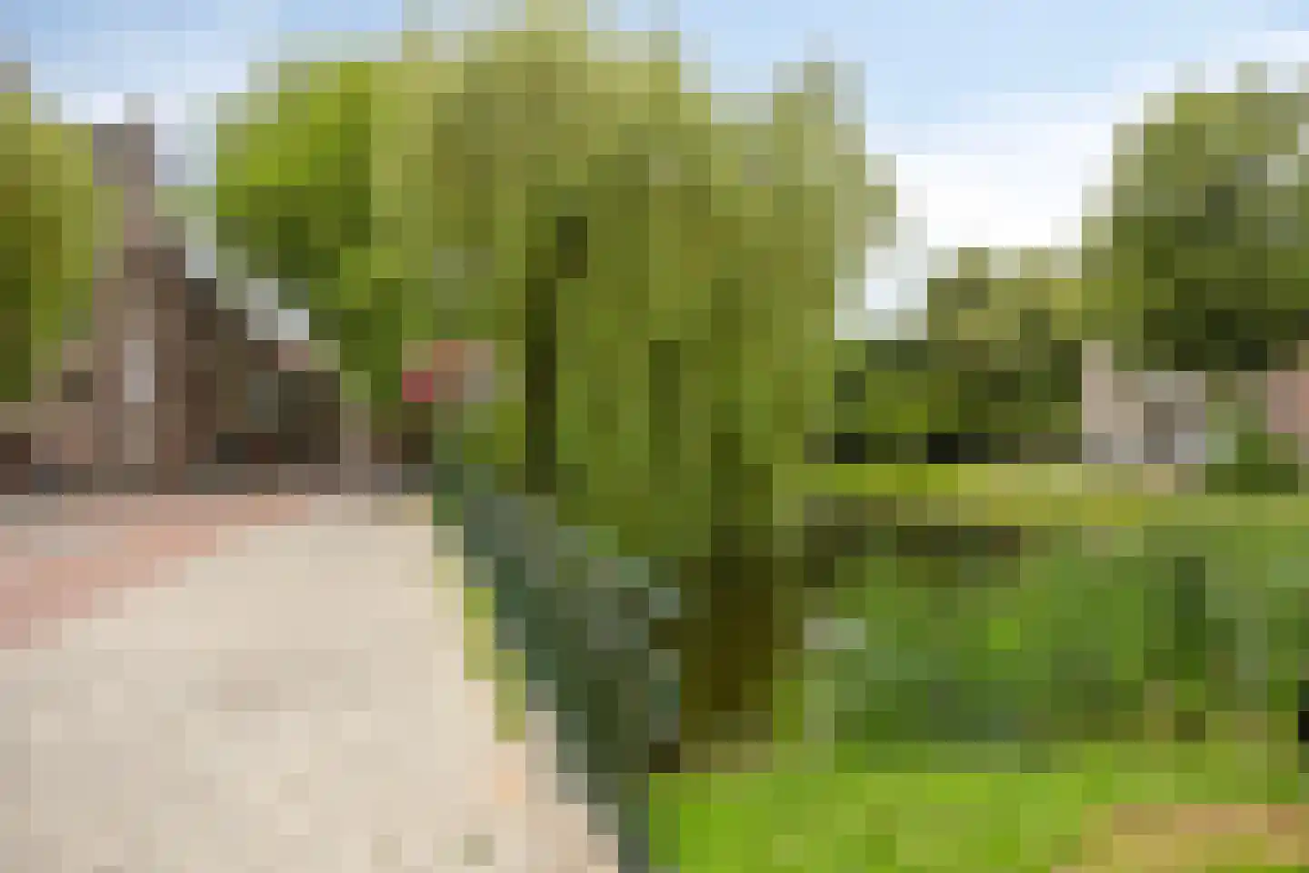 Vooruitstraat 22 Purmerend thumbnail 40