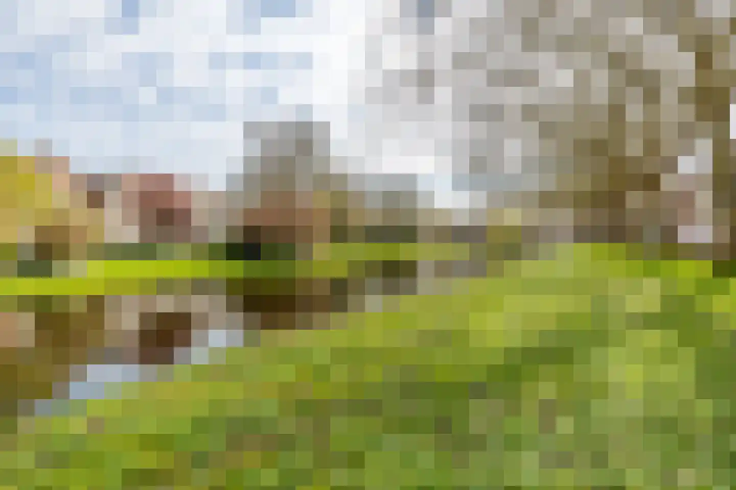 Vooruitstraat 29 Purmerend thumbnail 34