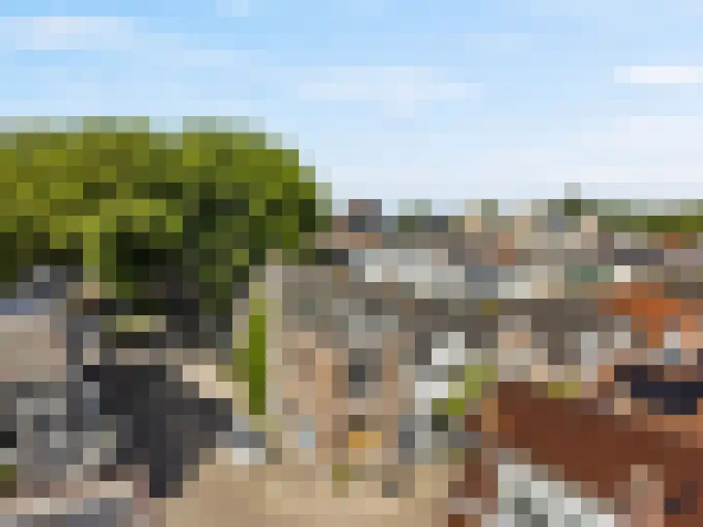 Vooruitstraat 57 Purmerend thumbnail 16